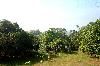 Lot with Improvement in Taytay, Rizal for Sale