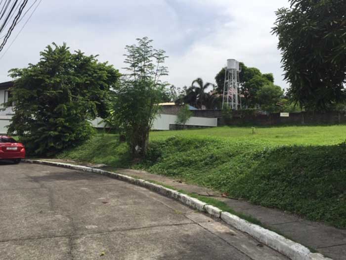 Vacant Lot in Pacific Village Muntinlupa City For Sale - 1304 Sqm