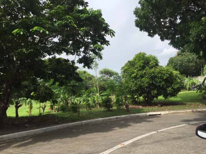 Vacant Lot in Pacific Village Muntinlupa City For Sale - 1195 Sqm