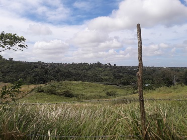 Vacant Lot in Pusil Road, Brgy Iruhin East Tagaytay City, Cavite For Sale - 9800 Sqm