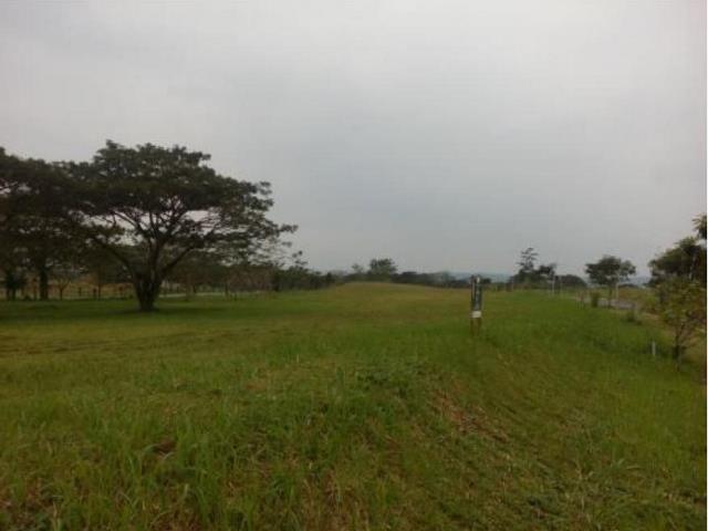 Residential Lot for Sale in Elaro at Nuvali, Calamba