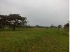 Residential Lot for Sale in Elaro at Nuvali, Calamba
