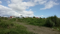 Vacant lot in Almanza Uno, Las Pinas City