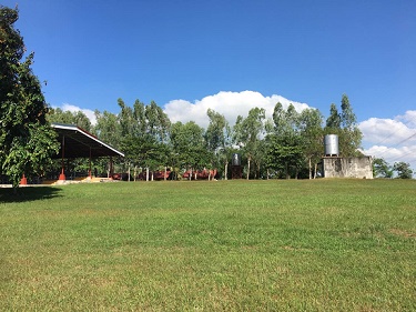 Agriculture in Tapulao, Orani, Bataan for Sale