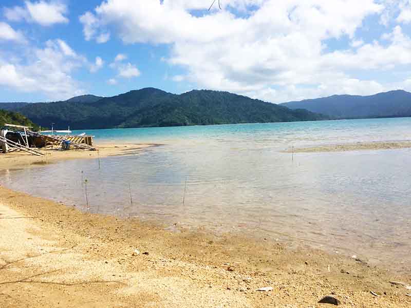 Agricultural-Beach Lot in San Vicente, Palawan for Sale