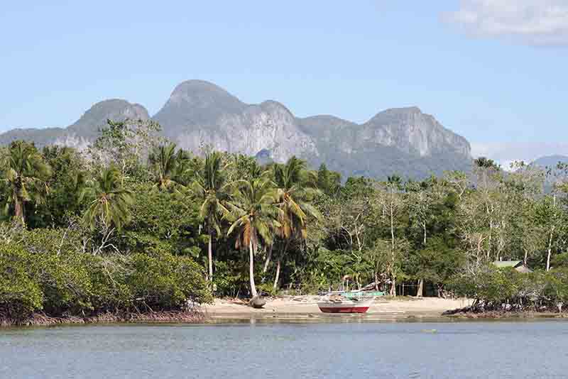 Beachfront Lot for Sale in Puerto Princesa, Palawan