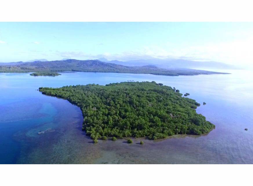 Beach Lot for Sale in Bush Island, Puerto Princesa