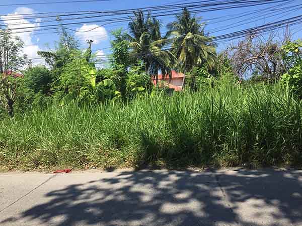 2-Hectare Lot for Sale in Dumaguete