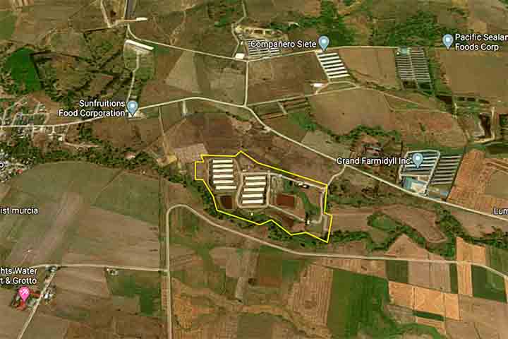 12.1-hectare Farm for Sale in Concepcion, Tarlac