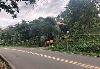 Vacant Lot for Sale in Buruanga, Aklan