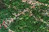 Developable Land for Sale in Alfonso, Cavite