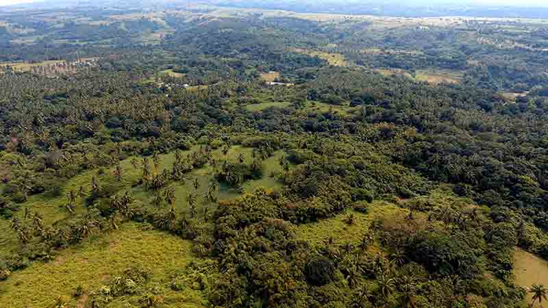 Vacant lot for Sale in Bagac, Bataan