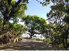 Lot for Sale in Nasugbu, Batangas