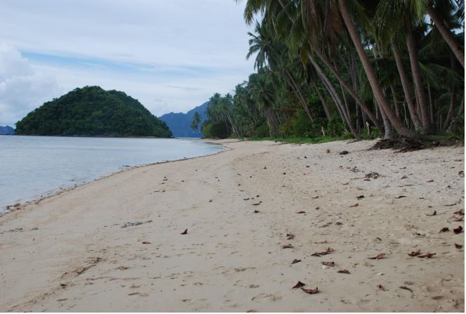 3.67 Hectare Beach Lot for Sale in El Nido, Palawan