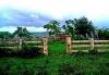 Agricultural Lot for Sale in Mandaon, Masbate