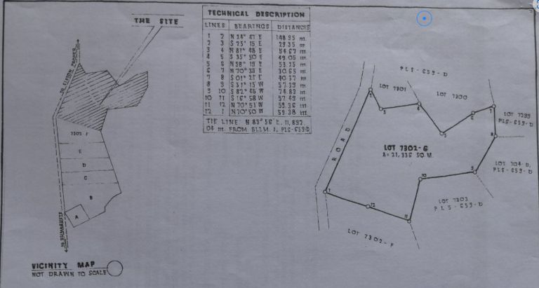 Commercial lot for Sale in Siaton, Negros Occidental