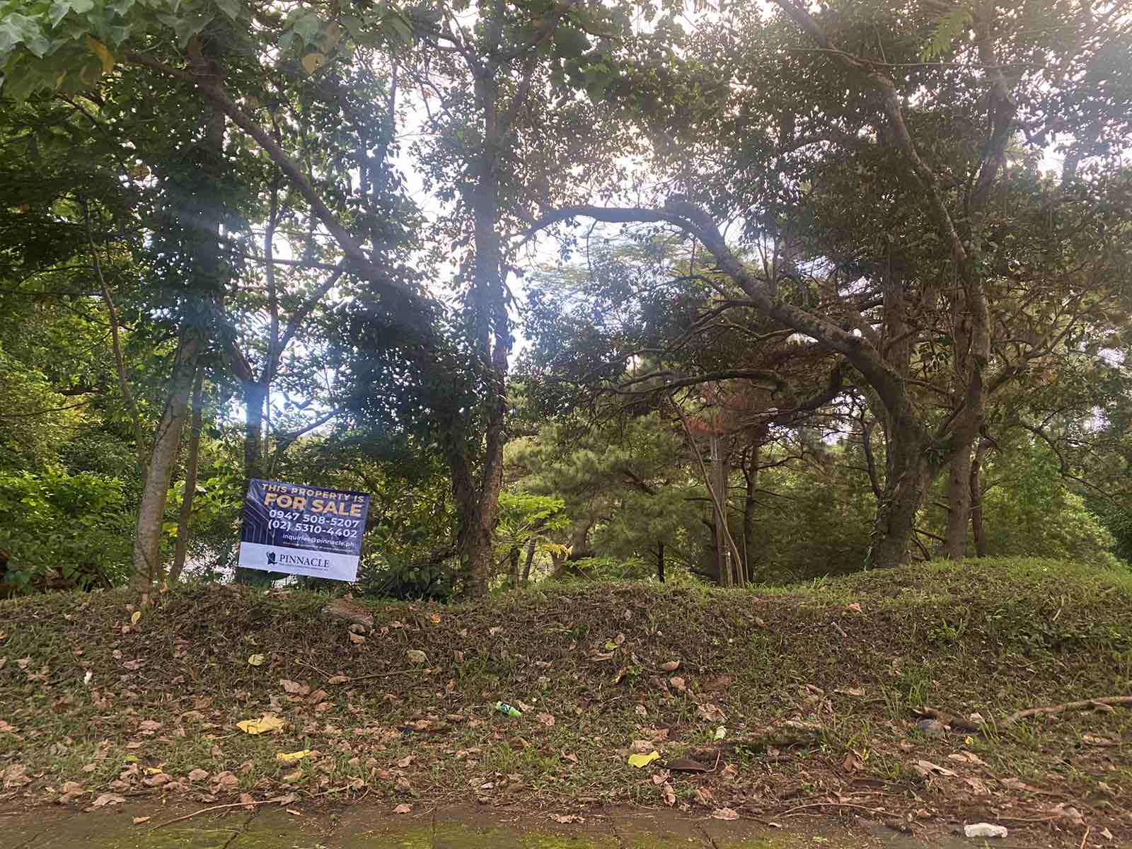 Residential Lot for Sale in Canyon Woods, Laurel, Batangas | 440 sqm