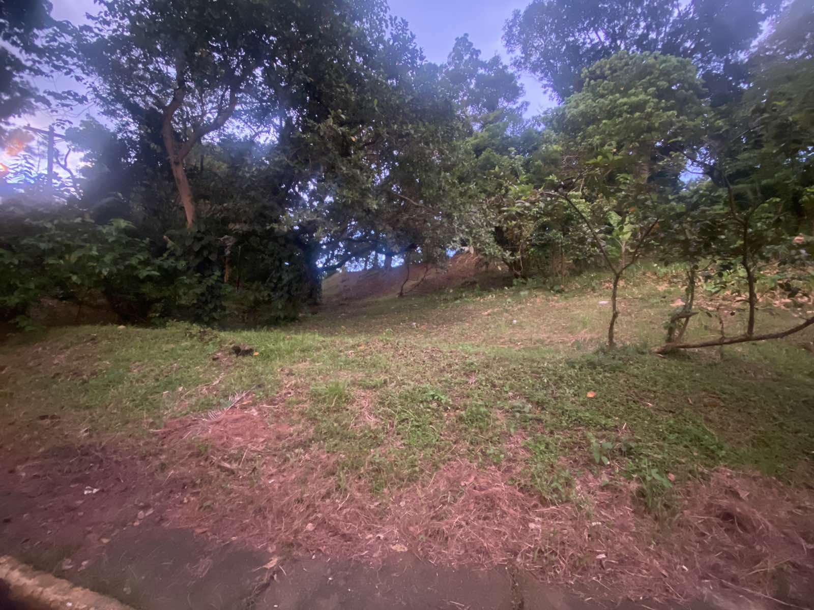 Vacant lot for Sale in San Gregorio, Laurel, Batangas City