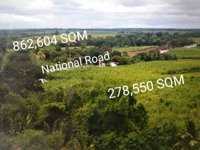 100 hectares for sale in Manapla, Negros Occidental