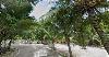 Beach Lot for sale in Bantayan Island, Cebu