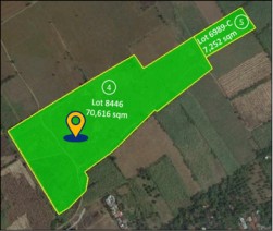 Rawland for sale in Tanauan, Batangas